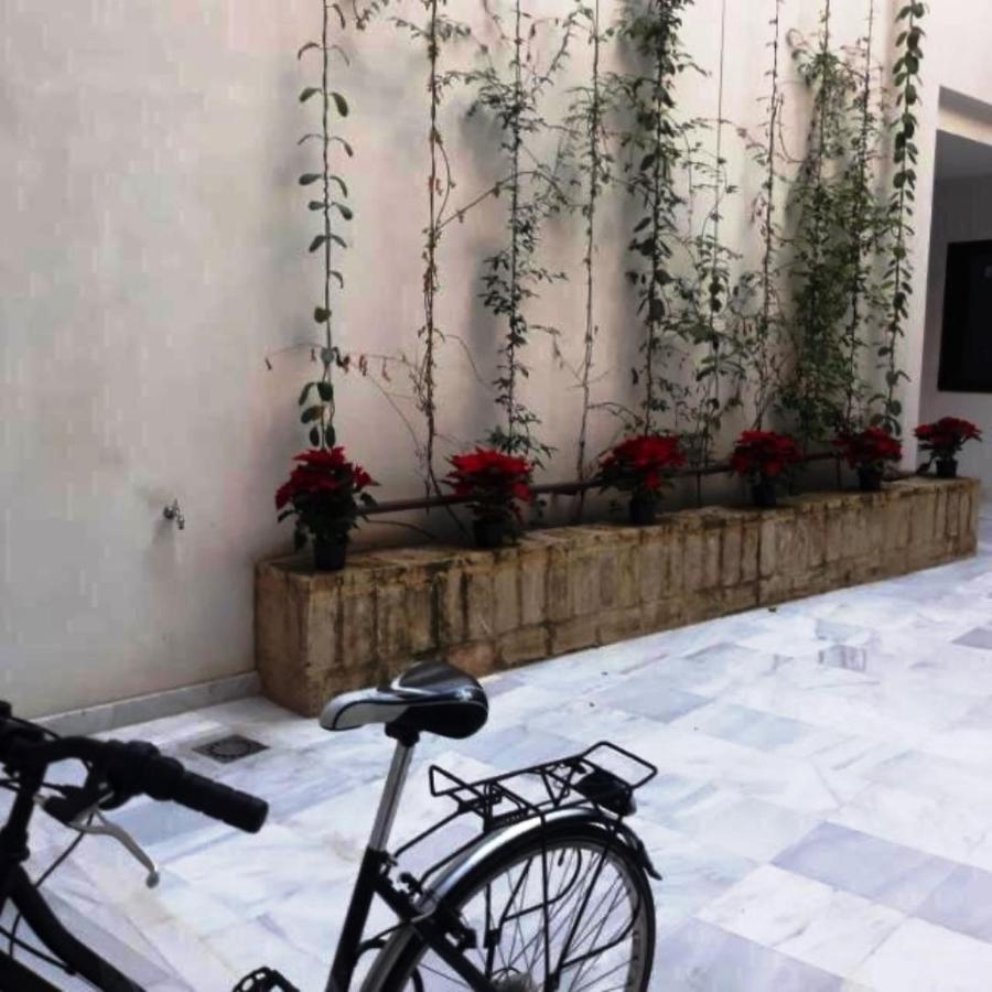 Estudio En Pleno Centro De Sevilla By Msholidays المظهر الخارجي الصورة